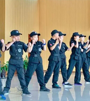 少年小警察