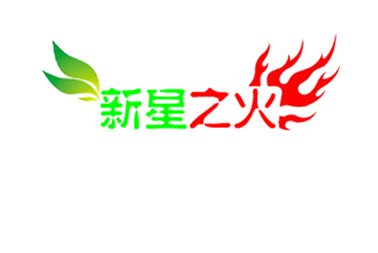 新星之火团队网站 logo第一版 何攀