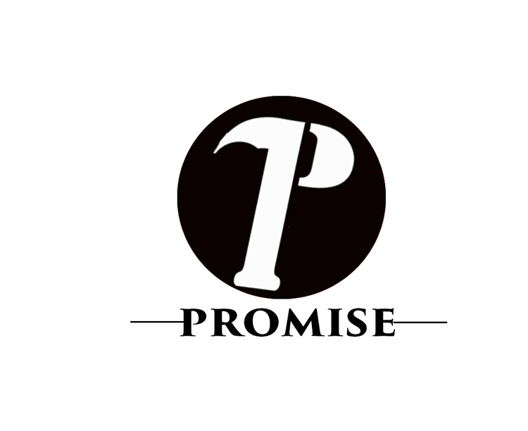 Promise团队网站 Logo第一版 王进峻